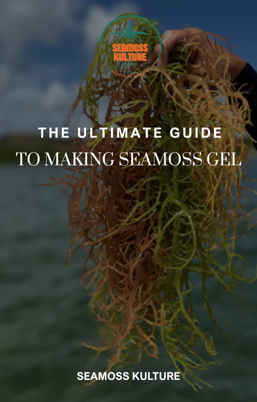 PREPARING SEA MOSS GEL: A STEP-BY-STEP GUIDE