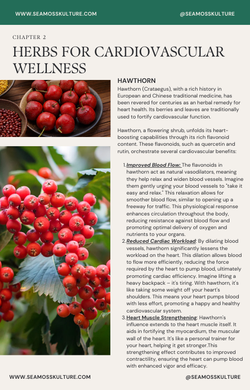 Unlock the Secrets to a Healthy Heart: Free Guide to Sea Moss & Herbs