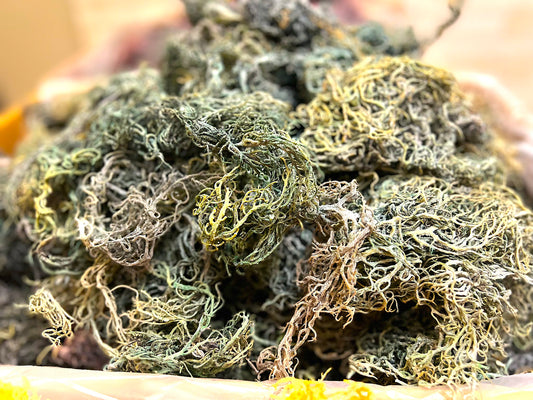 Green Wholesale Sea Moss