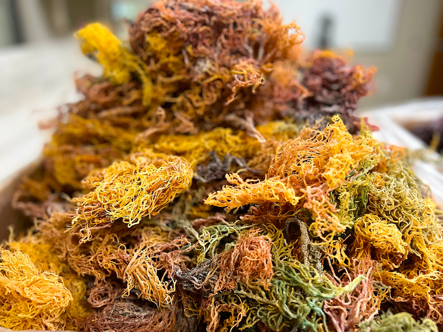 Wholesale Sea Moss