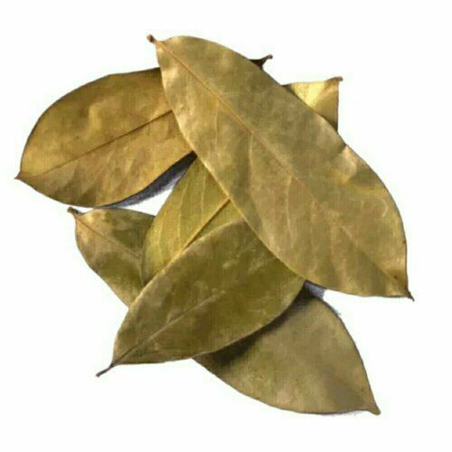 Soursop Leaves