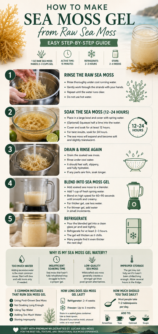 How to Make Sea Moss Gel from Raw Sea Moss (Easy Recipe + Common Mistakes to Avoid)