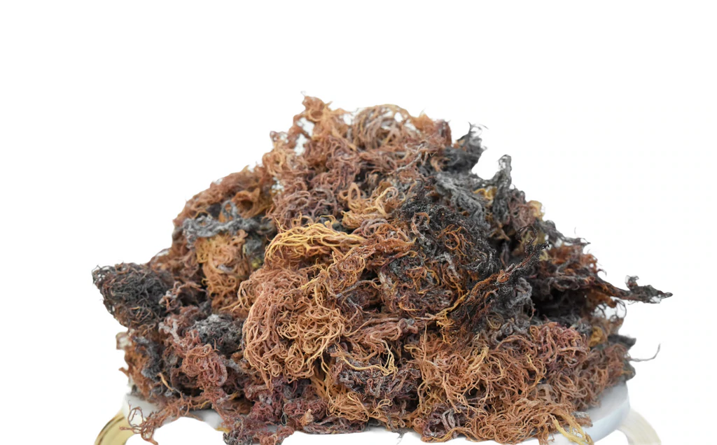 Premium Full Spectrum St. Lucian Wildcrafted Raw Sun dried Sea Moss (Irish Sea Moss)
